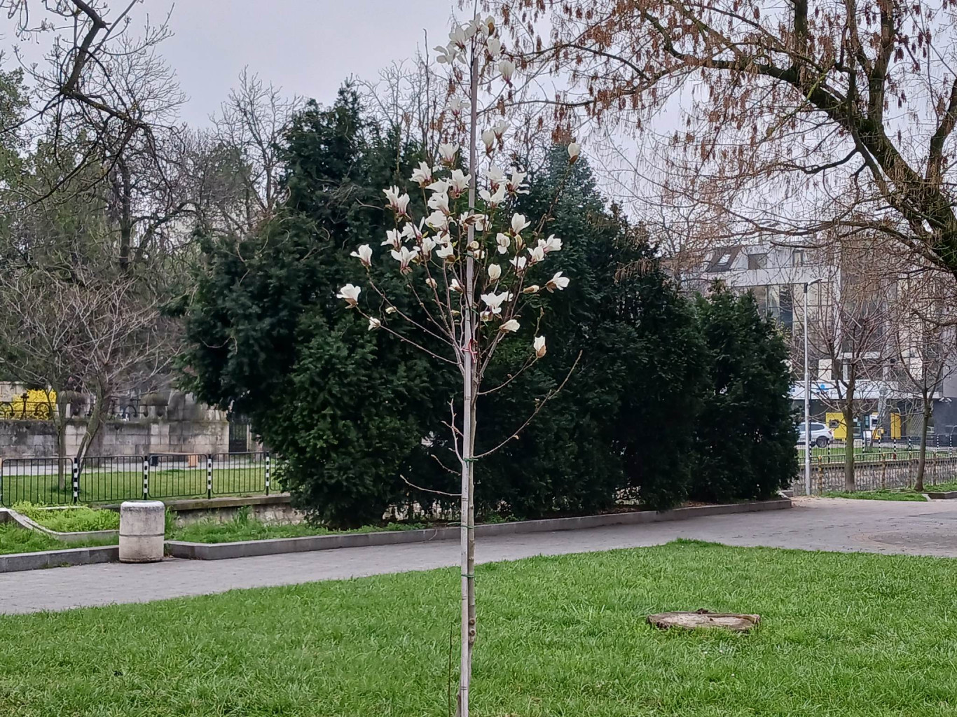 23.03.2023 г.