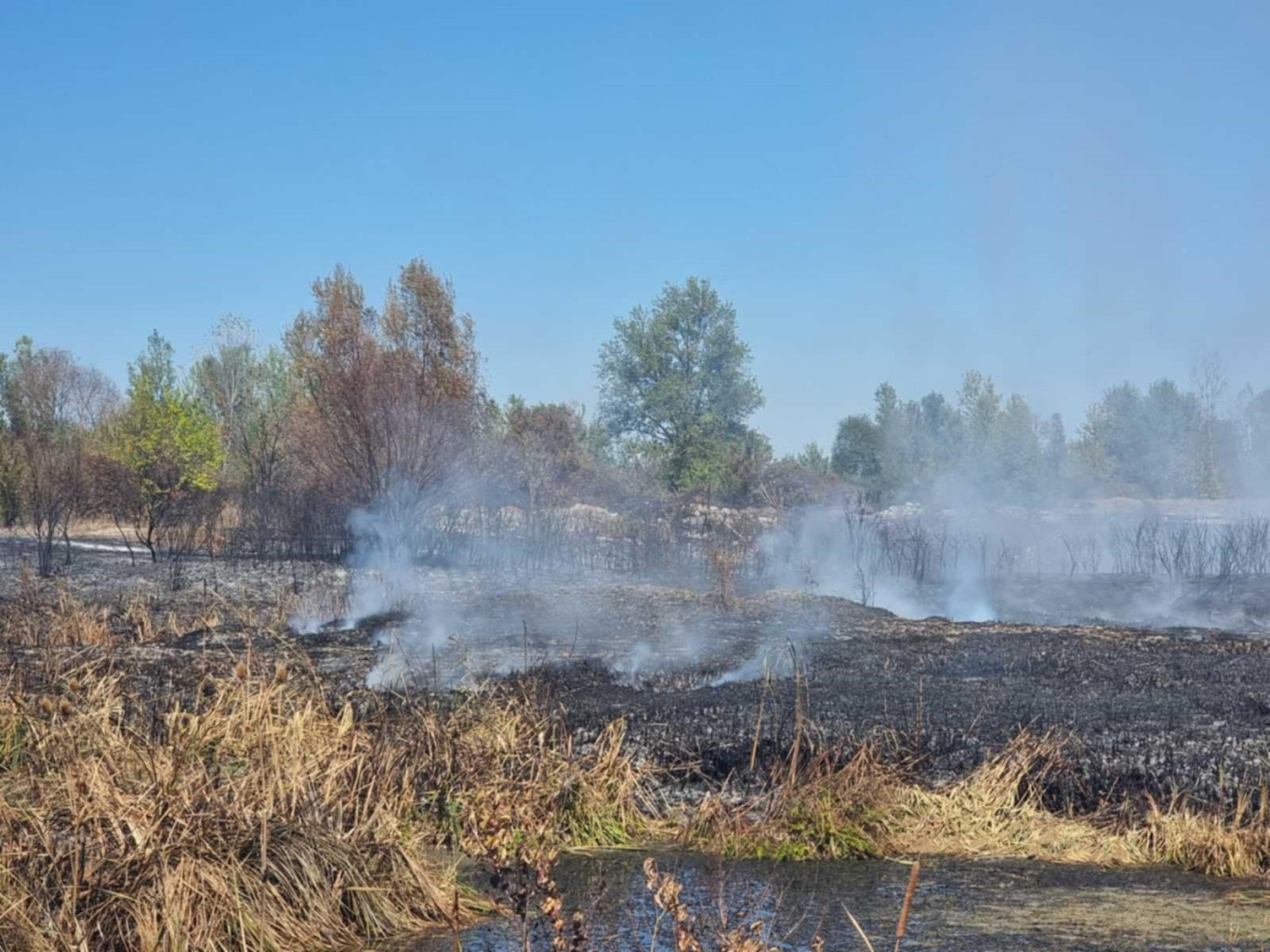 РИОСВ - Плевен с отрицателно становище до Община Плевен за…