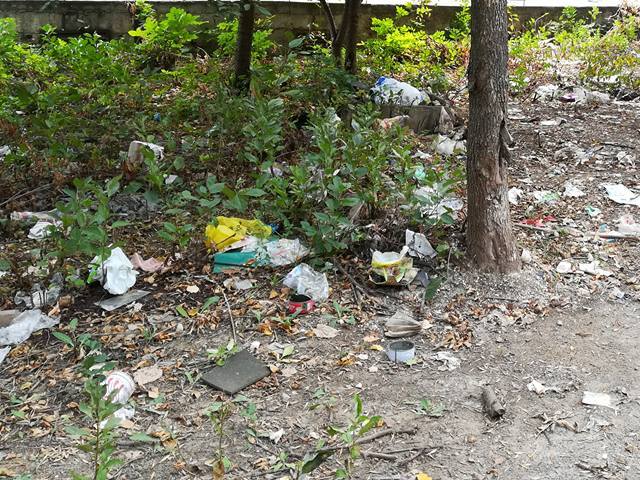 Нова акция по почистване инициира кметът, този път в жк…