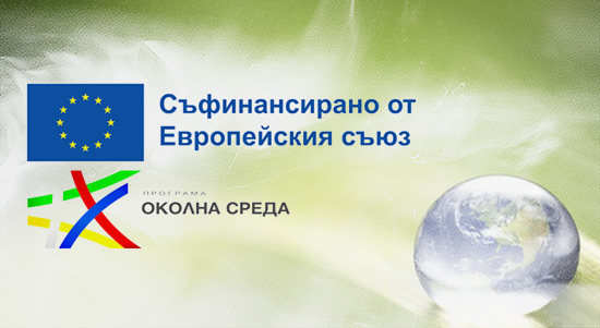 Община Плевен внесе в срок проектното предложение за смяна на…