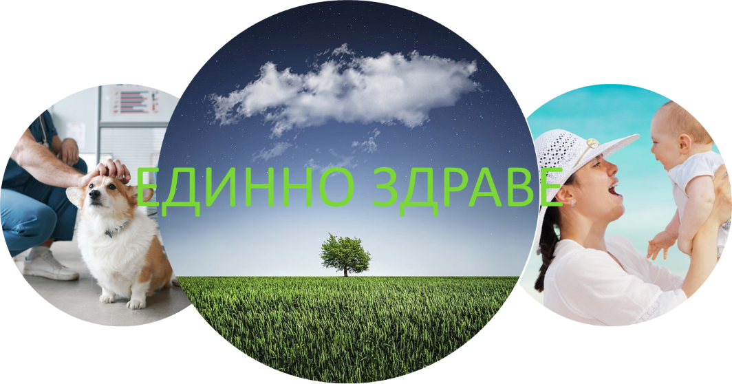Представят Стратегията „Единно здраве“ за Северозападен регион на обществено обсъждане…