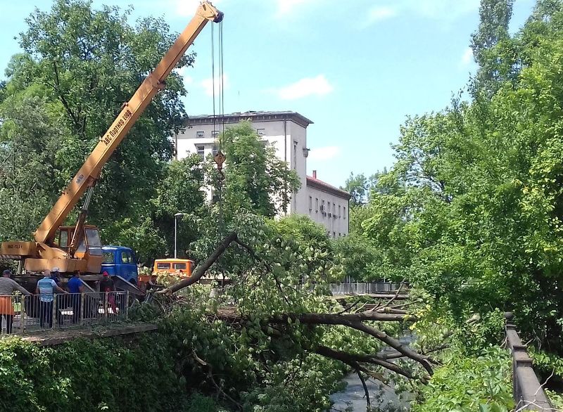 Спира се движението по ул. „Дойран” за премахване на прекършени…