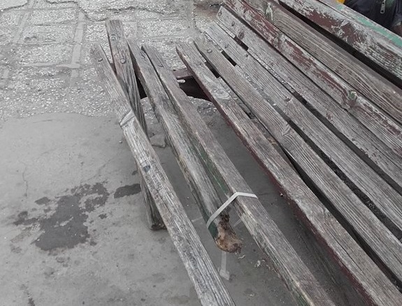 Нови пейки и кошчета слагат на Автогарата