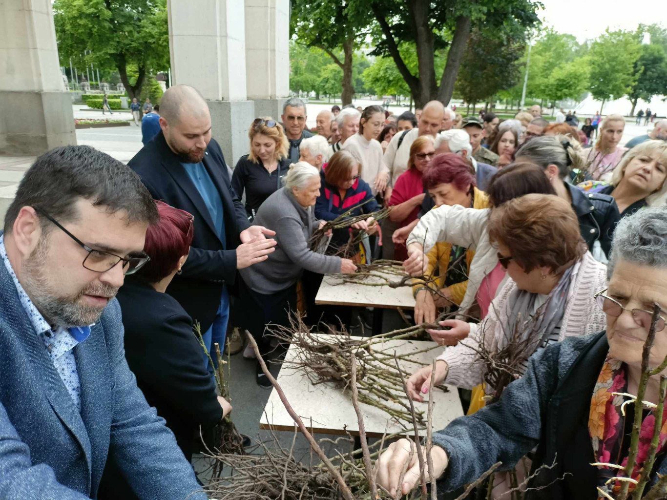 Започна раздаването на 20 000 розови храста, осигурени от дарител