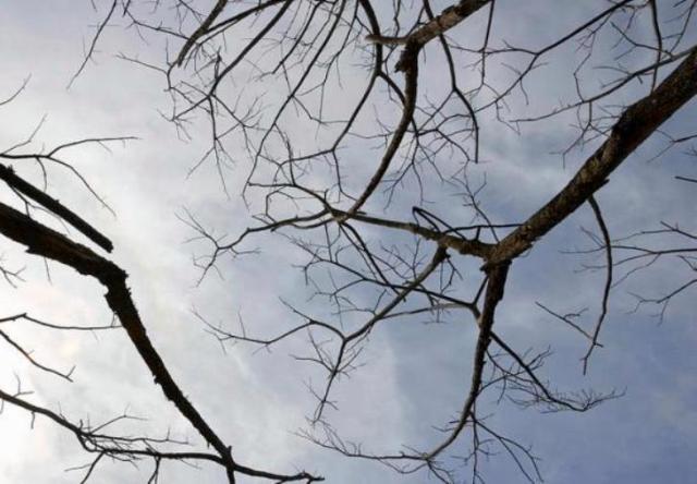 Движението по част от плевенски улици ще е ограничено заради…