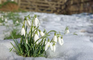 На 18 януари: Атанасовден е…