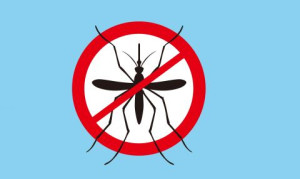 Наземна обработка срещу комари ще се извърши от  12 до 15 август
