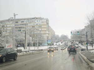 Обработват всички улици и тротоари…