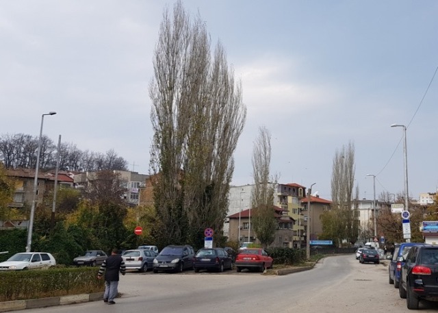Отсечки от две улици в Плевен ще бъдат затворени временно…