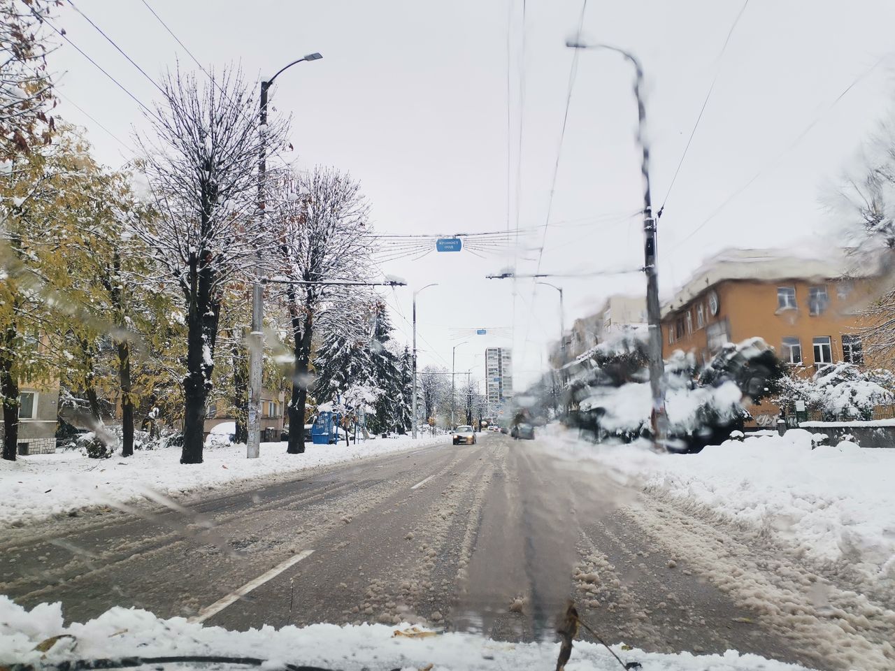 Над 70 сигнала за паднали дървета и клони са подадени…